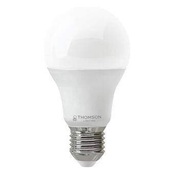 Лампа светодиодная Thomson E27 17W 6500K груша матовая TH-B2306